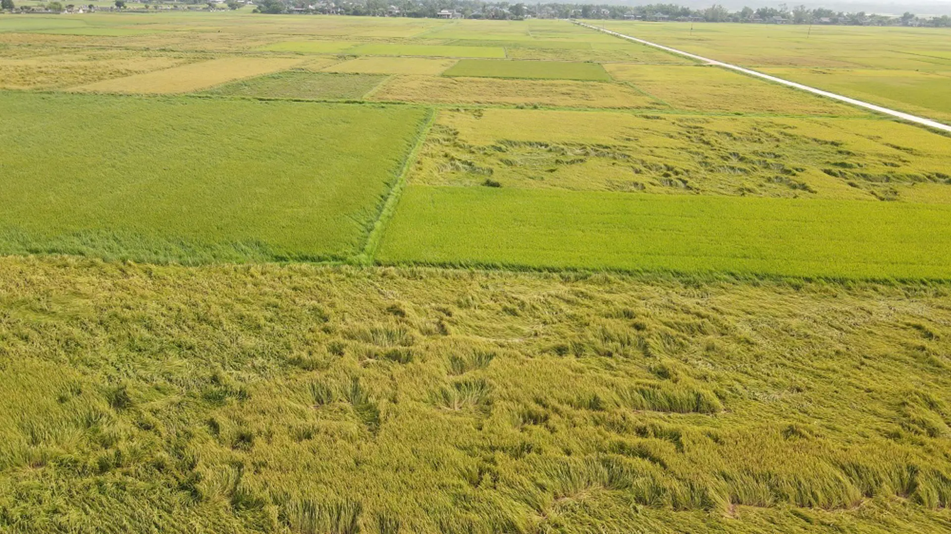 Lốc xoáy gây thiệt hại nhiều nơi ở Quảng Trị