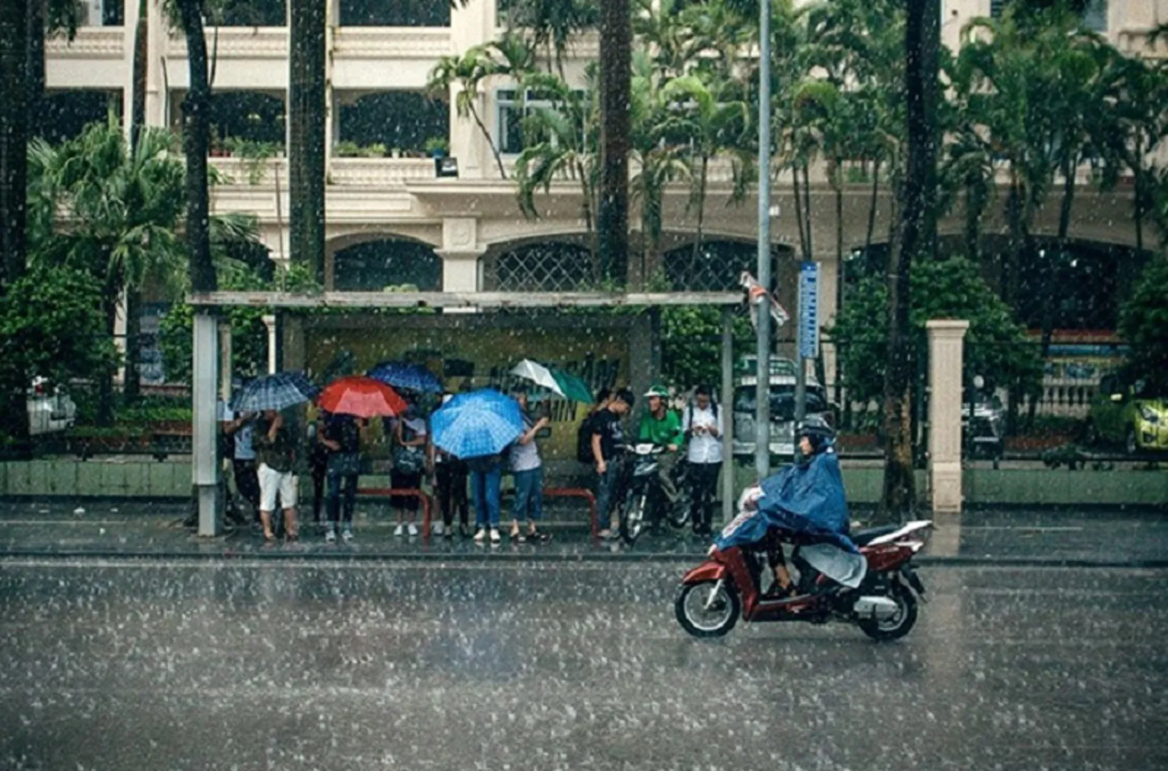 Dự báo thời tiết ngày 25/4/2023: Hà Nội mưa to, gió đông bắc cấp 2-3