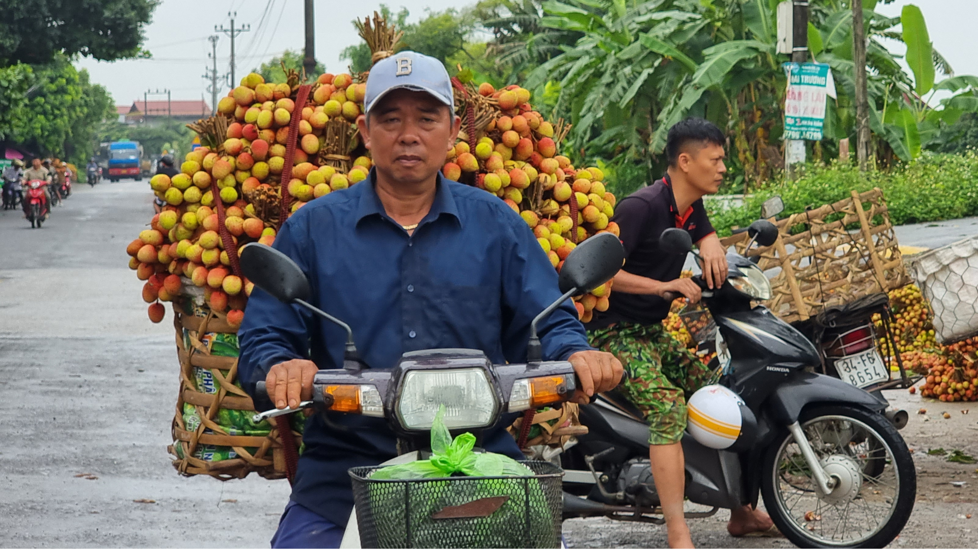 Hải Dương: Dự tính sản lượng vải Thanh Hà đạt khoảng 40 nghìn tấn