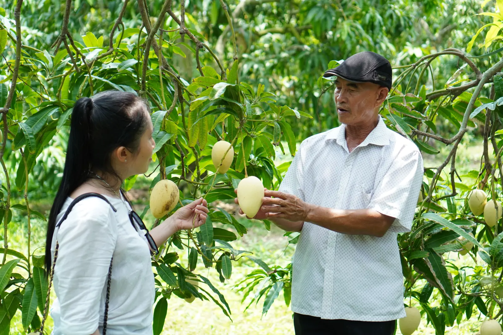 Đồng Tháp: Định hướng phát triển du lịch nông nghiệp