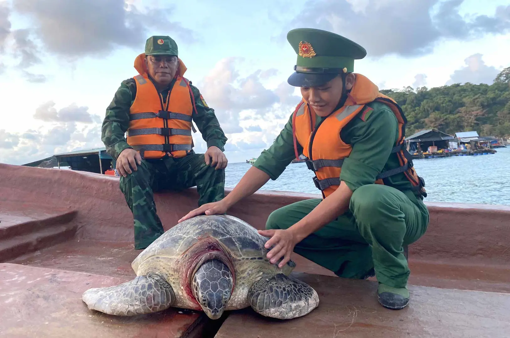 Kiên Giang: Thả nhiều cá thể rùa nằm trong sách đỏ về đại dương