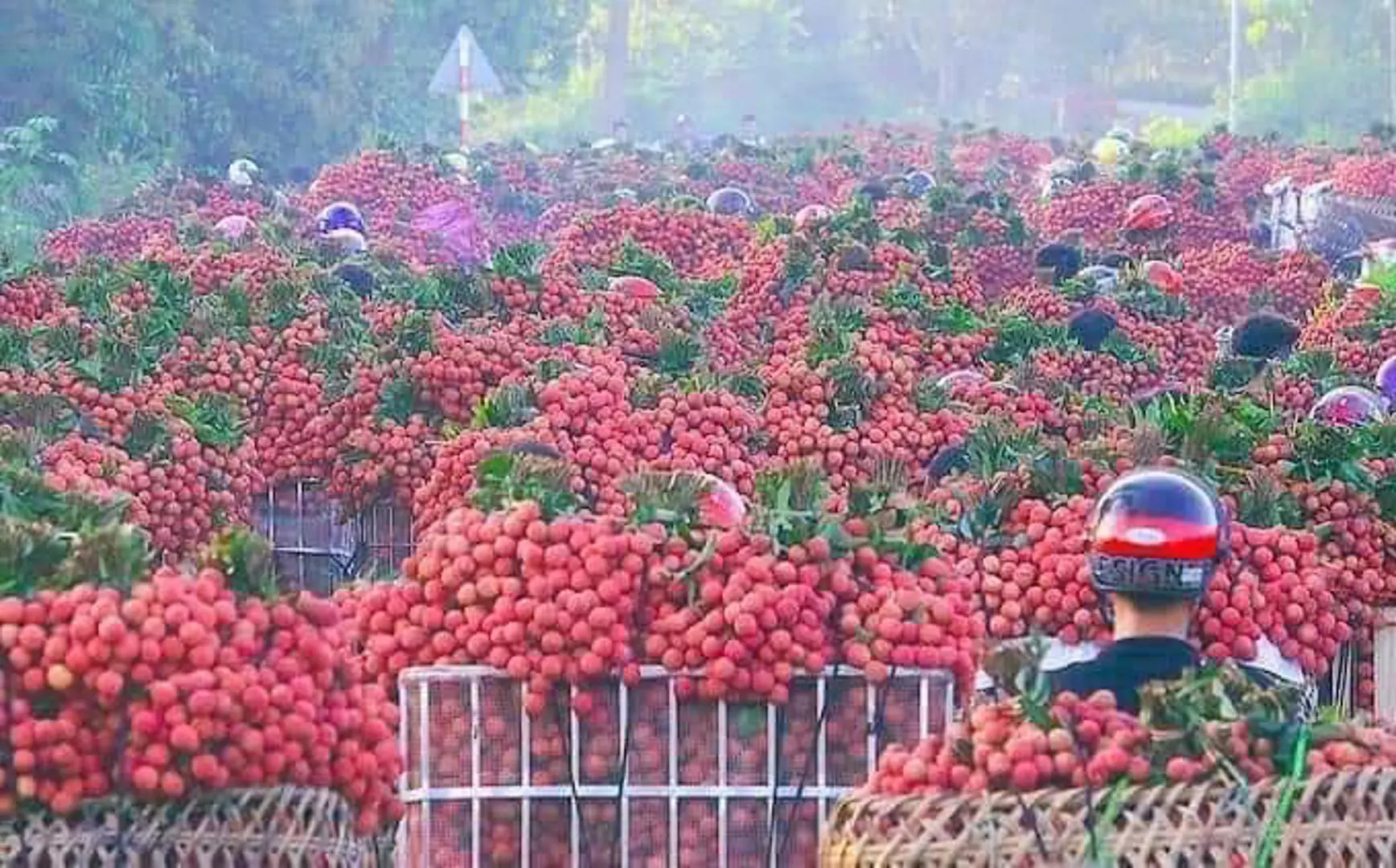 Bảo hộ nhãn hiệu: Chìa khóa đưa hàng Việt vào chuỗi giá trị toàn cầu 