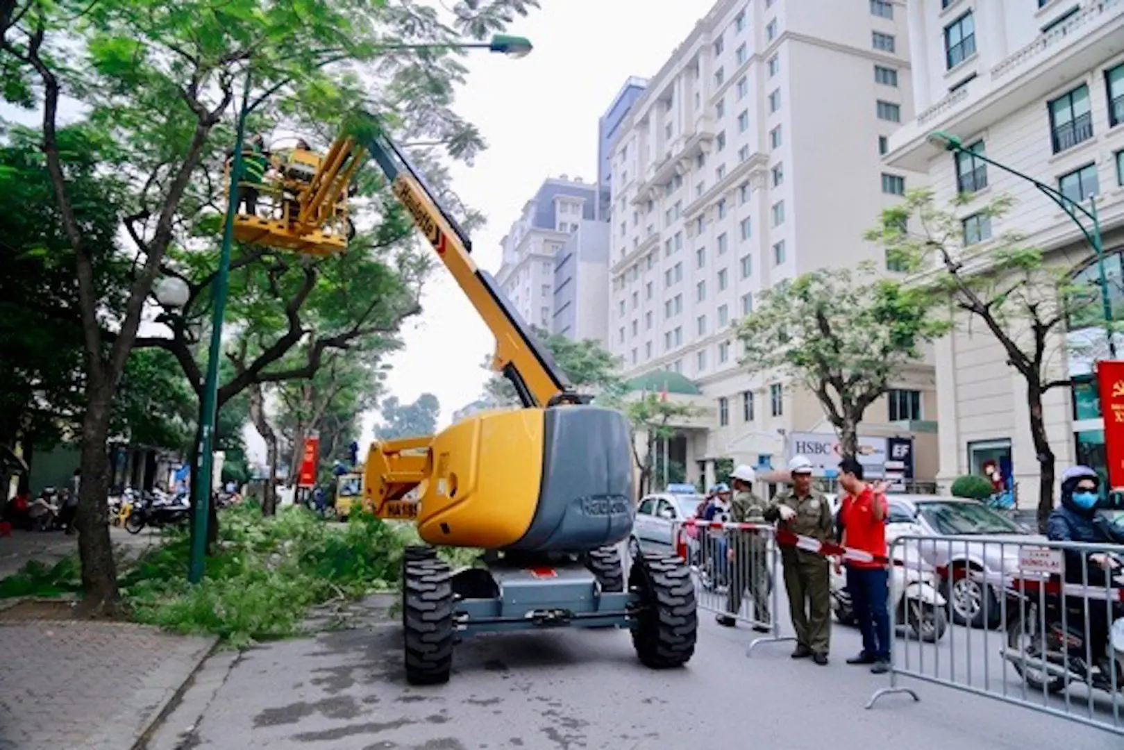 Hà Nội: Rốt ráo cắt tỉa cây xanh, phòng chống gãy đổ trong mùa mưa bão