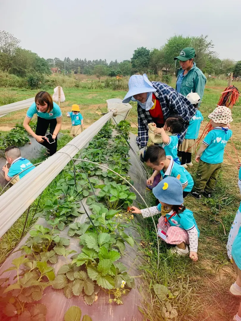 Nên tổ chức dã ngoại, trải nghiệm cho học sinh ở những địa điểm an toàn, dễ quản lý. Ảnh: Hải Linh