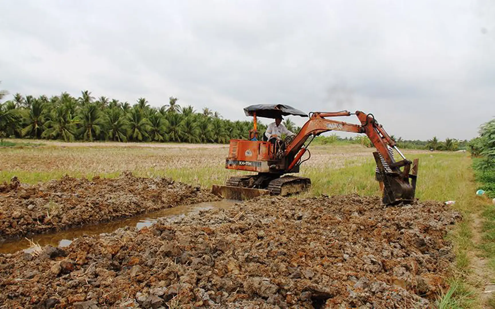 Hà Nội: Tăng cường xử lý vi phạm trong quản lý, sử dụng đất nông nghiệp