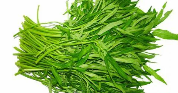 Cách nhận biết rau muống bị nhiễm chì