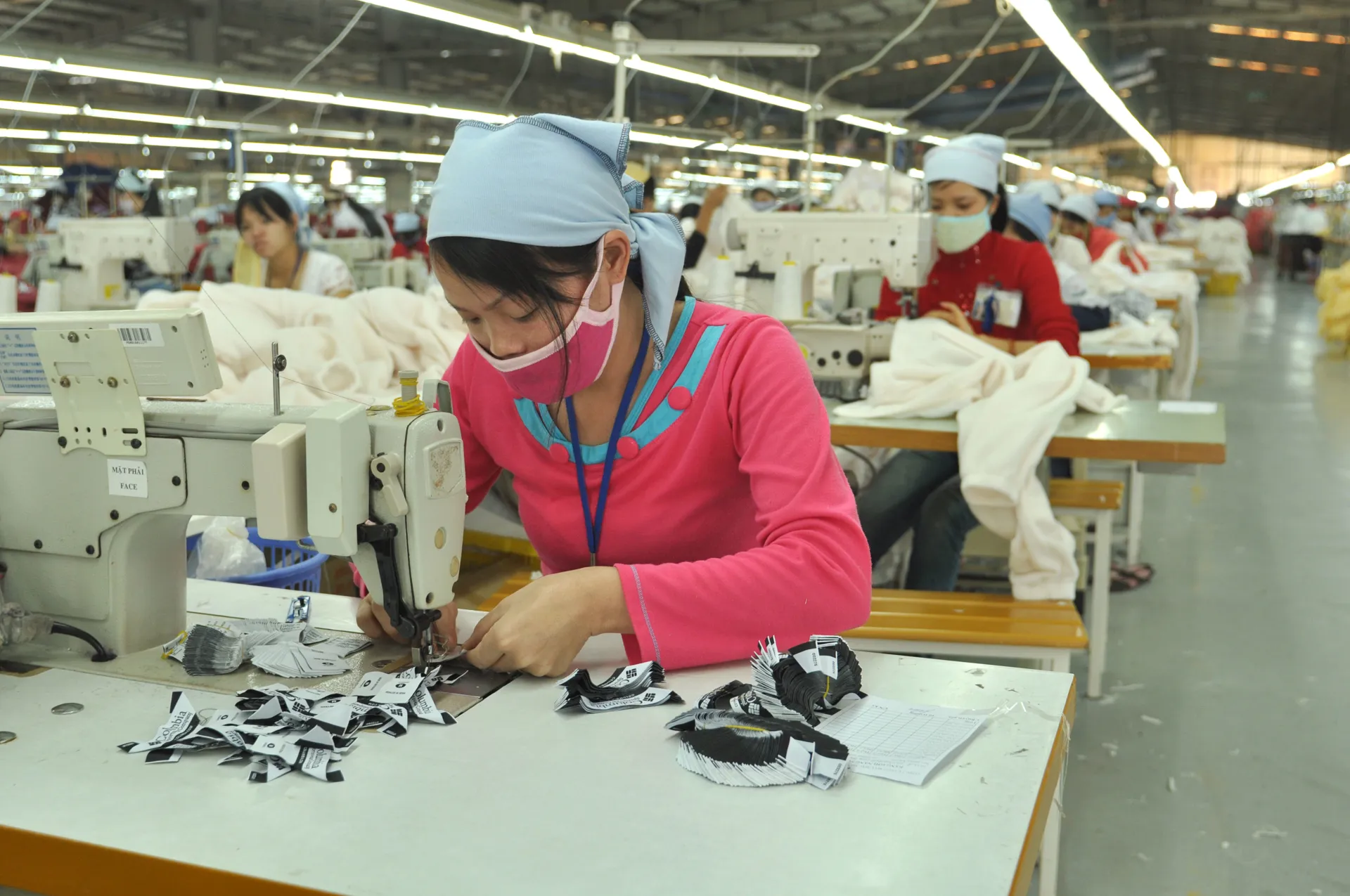 Thúc đẩy tạo việc làm bền vững, sử dụng hiệu quả, tạo mọi điều kiện cho người lao động. Ảnh: Việt Linh