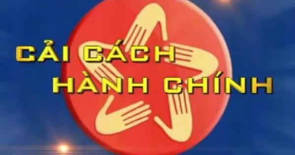 Cải cách thủ tục hành chính thực chất, nâng cao hiệu quả tư vấn chính sách