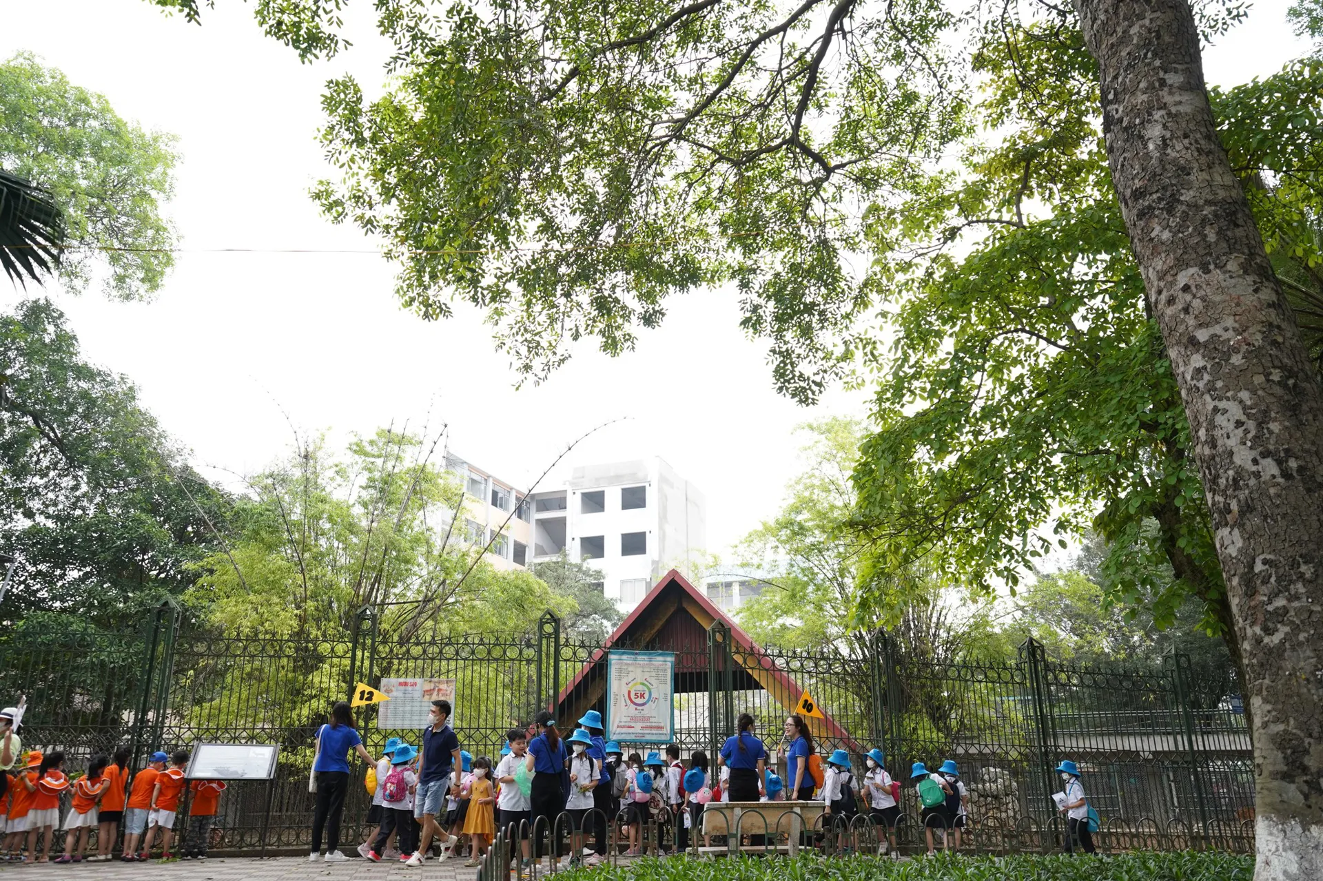 Học sinh Trường tiểu học Archimedes Cầu Giấy trong một chuyến trải nghiệm (Ảnh: FBNT)