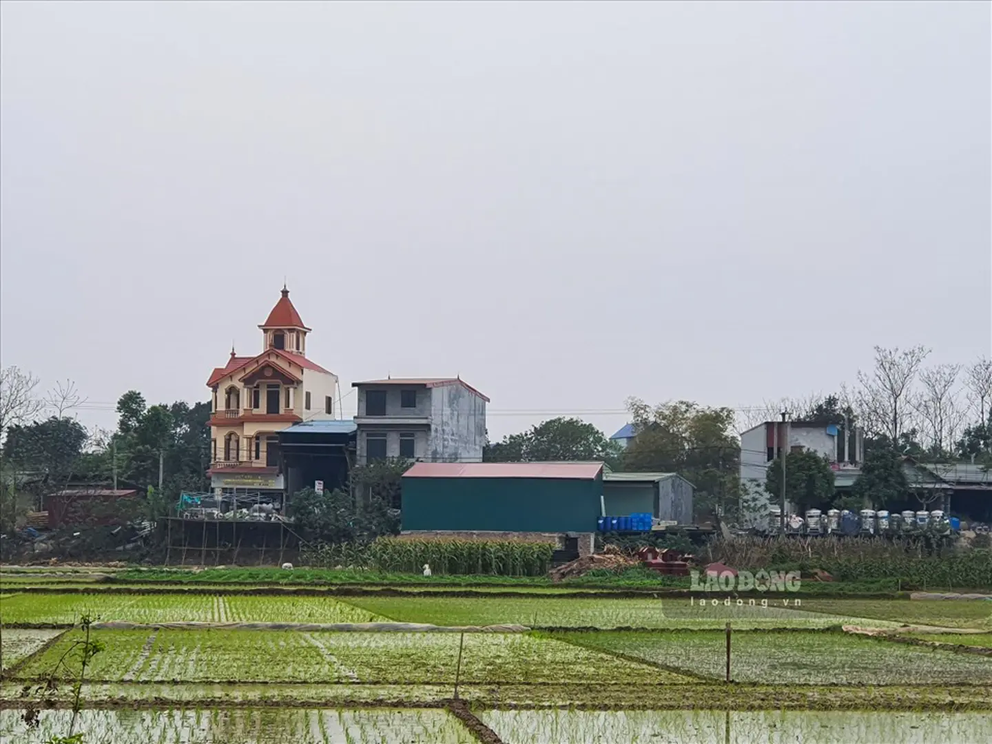 Lưu ý quan trọng về quy định chuyển đất nông nghiệp năm 2023