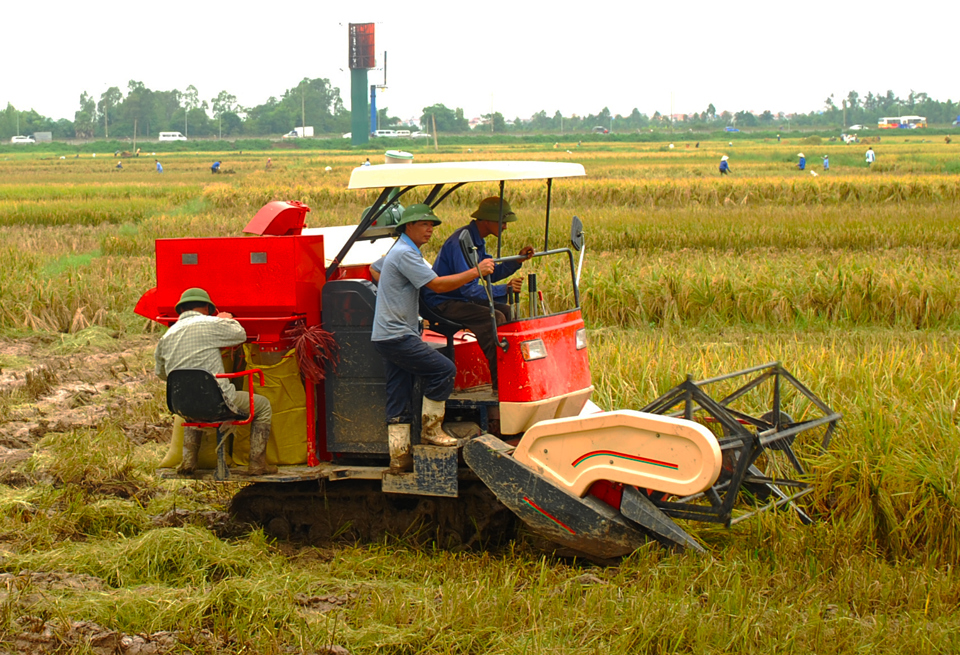 Vietnam to balance rice exports and national food security: PM