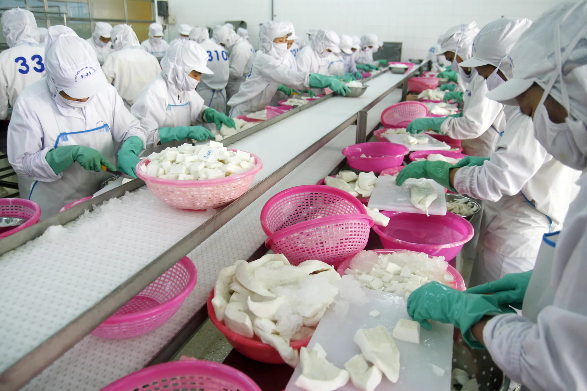 Chế biến thủy sản xuất khẩu sang thị trường Hoa Kỳ. Ảnh: Phạm Hùng