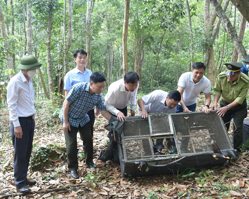 Lực lượng Kiểm lâm HàNội phối hợp với các đơn vịtáithả động vật hoang dã về môitrường tự nhiên. Ảnh: ÁnhNgọc