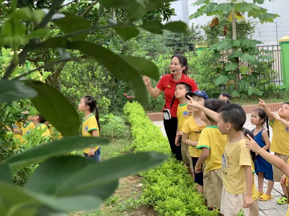 Môi trường văn hóa, rợp bóng cây xanh của Trường Mầm non Đa Sỹ, Hà Đông