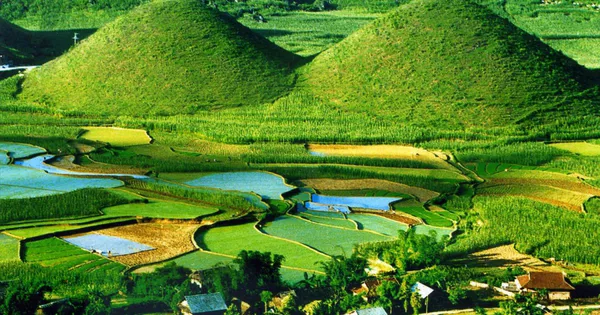 Kế hoạch thẩm định Hồ sơ Quy hoạch vùng Trung du và miền núi phía Bắc