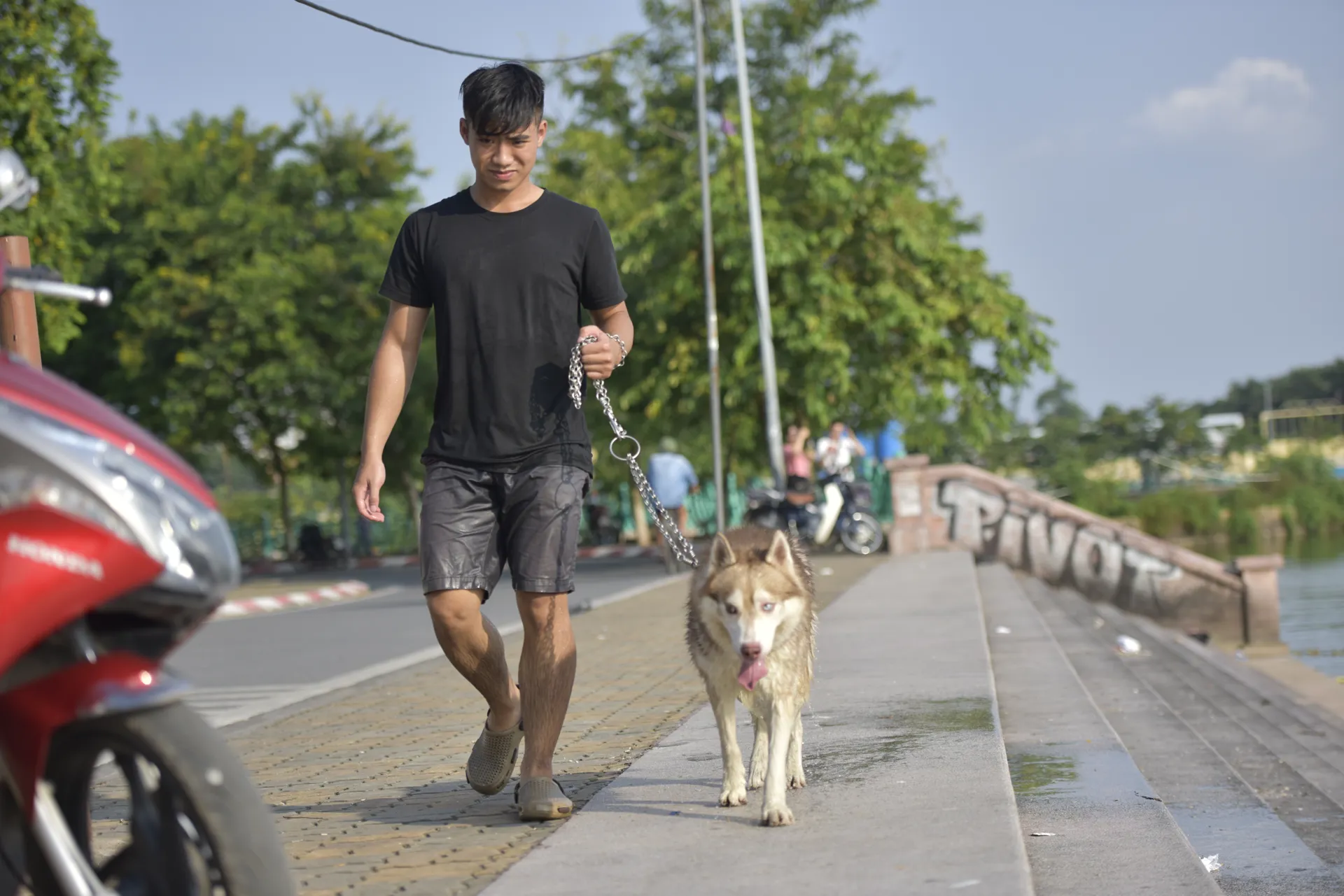 Nhiều người nuôi chó ở Hà Nội vẫn còn thả rông, hoặc không rọ mõm đối với vật nuôitiềm ẩn nguy cơ mất an toàn phòng dịch. Ảnh: Công Hùng