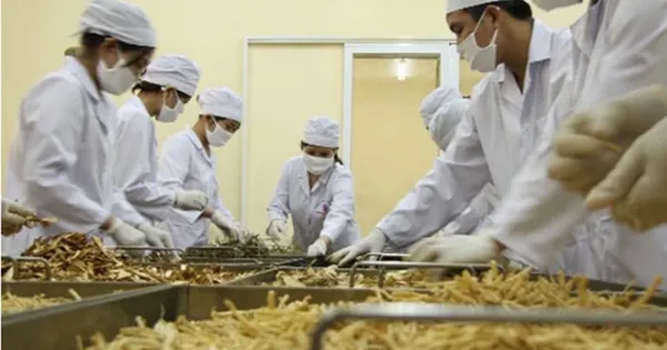 Thủ tướng Chính phủ chỉ đạo tháo gỡ khó khăn trong xuất khẩu dược liệu