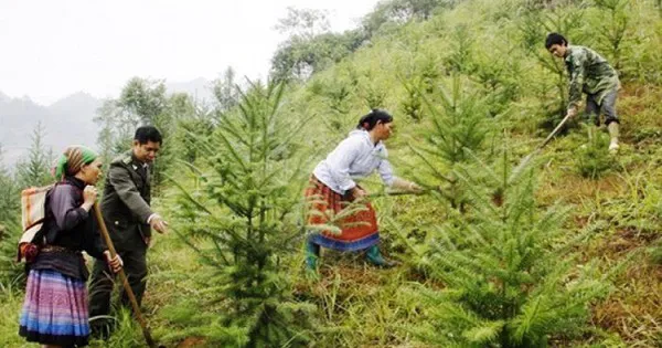 Hỗ trợ kinh phí phát triển sinh kế vùng đệm các khu rừng đặc dụng