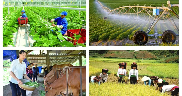 Tổng điều tra nông thôn, nông nghiệp năm 2025 từ ngày 1/7/2025