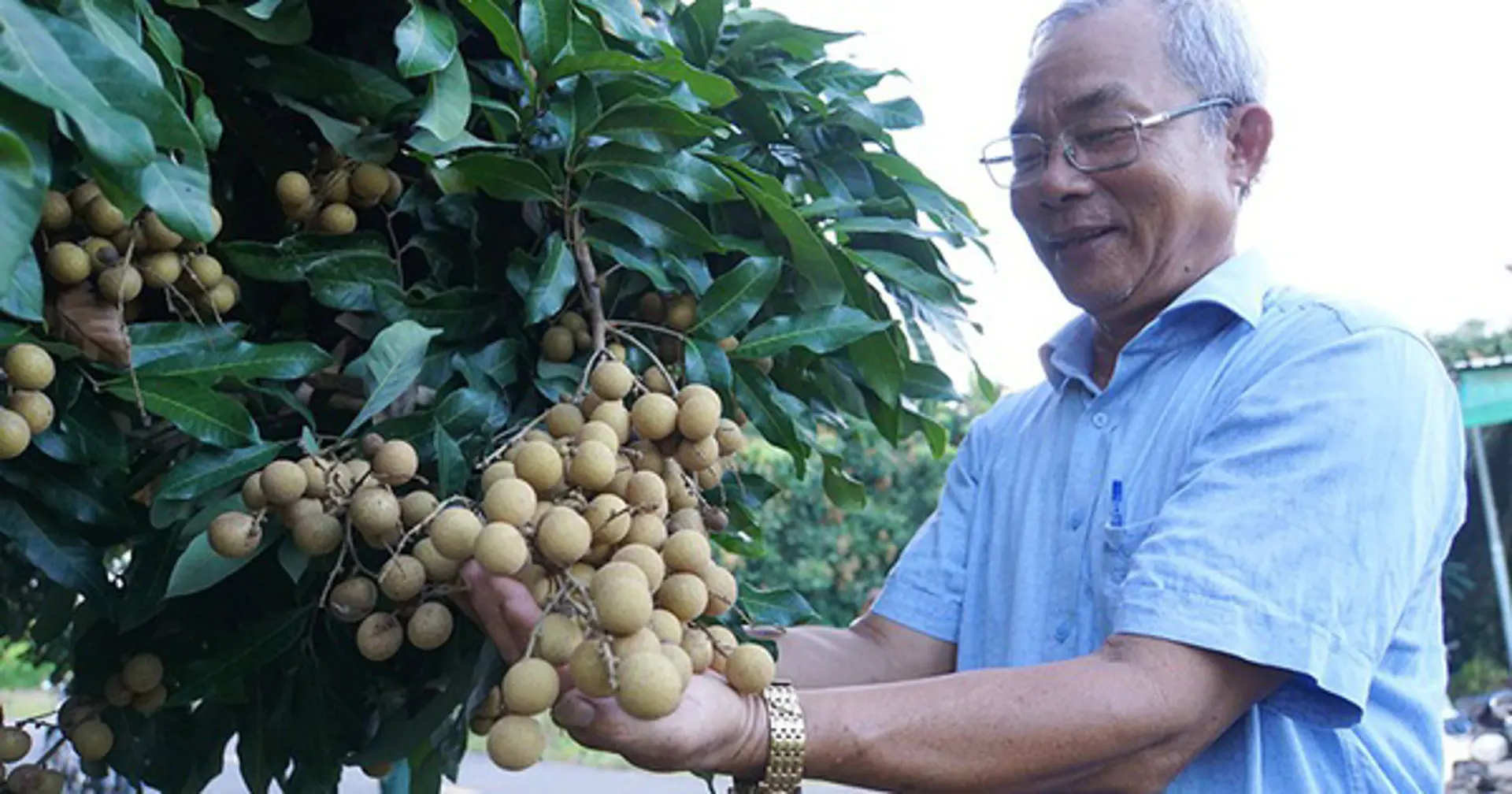 Công nhận huyện Châu Thành (Đồng Tháp) đạt chuẩn nông thôn mới