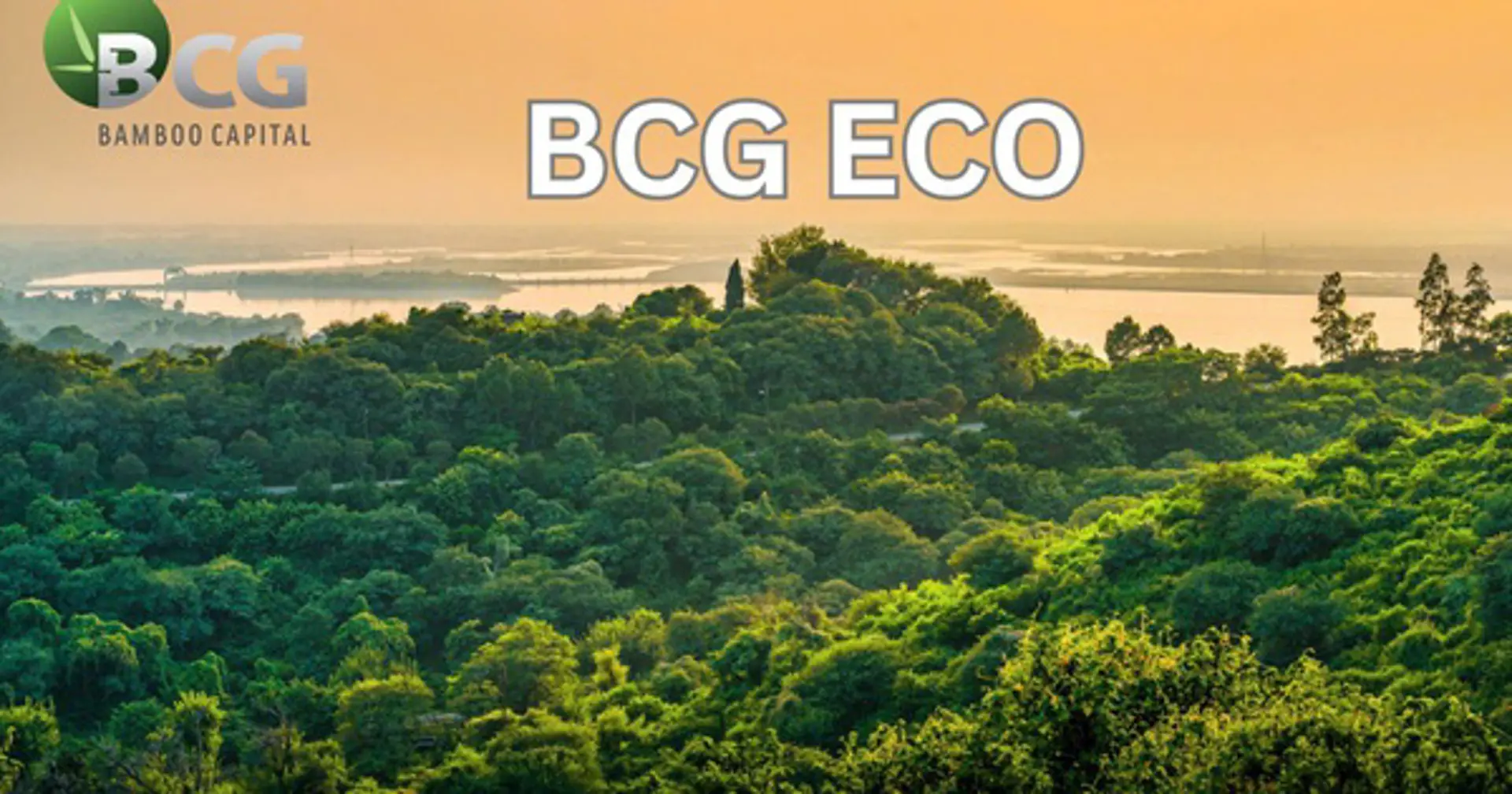 Bamboo Capital thành lập công ty trồng và chăm sóc rừng BCG Eco