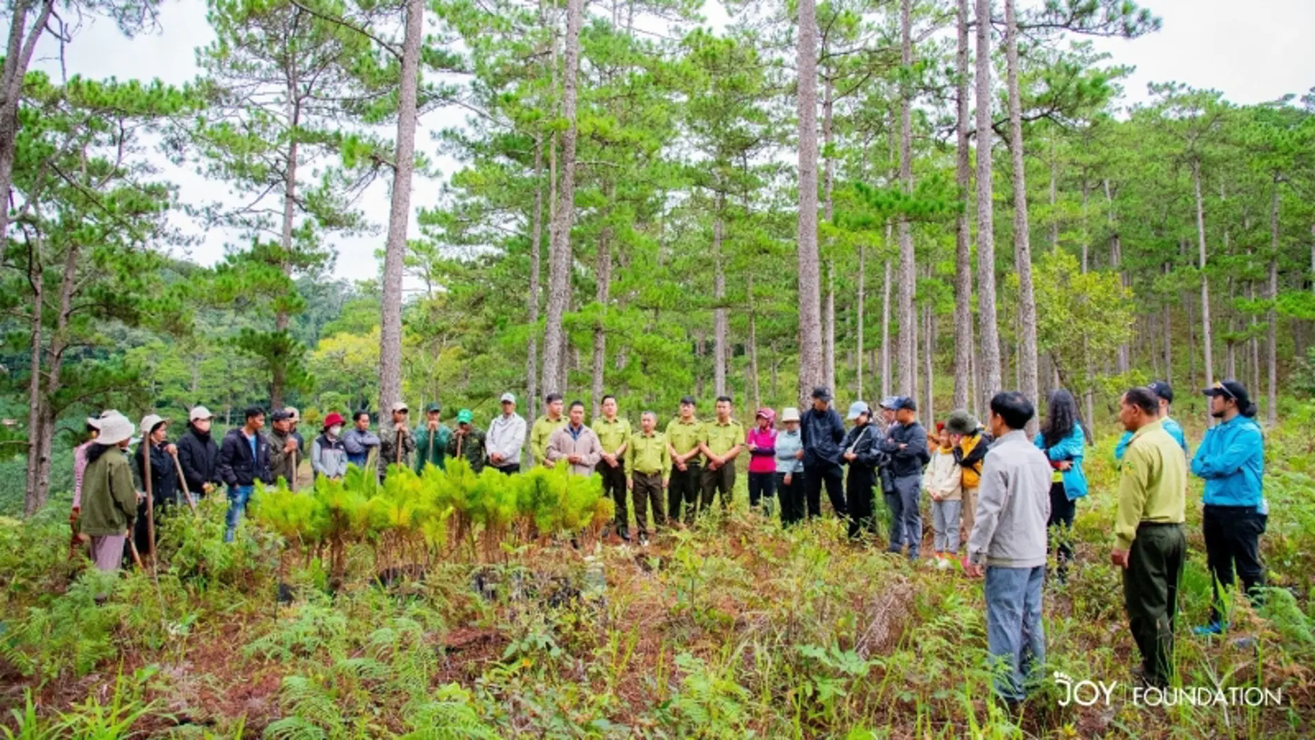 ROX Key chung tay phủ xanh những tán rừng cùng Joy Foundation