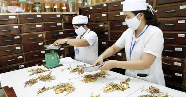 Đa dạng hóa các loại hình dịch vụ, sản phẩm y học cổ truyền