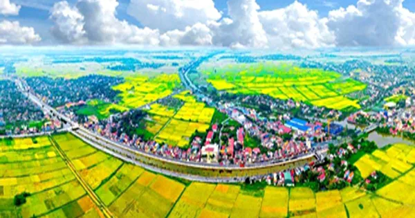 Kiện toàn phân công các Phó Thủ tướng làm Chủ tịch Hội đồng điều phối vùng