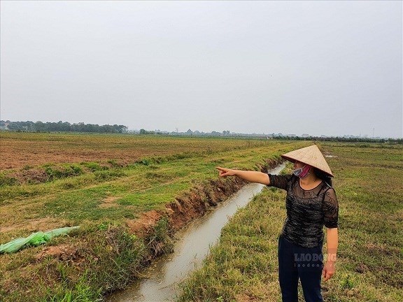 Lời hay lỗ khi đầu tư mua đất nông nghiệp để lên thổ cư?