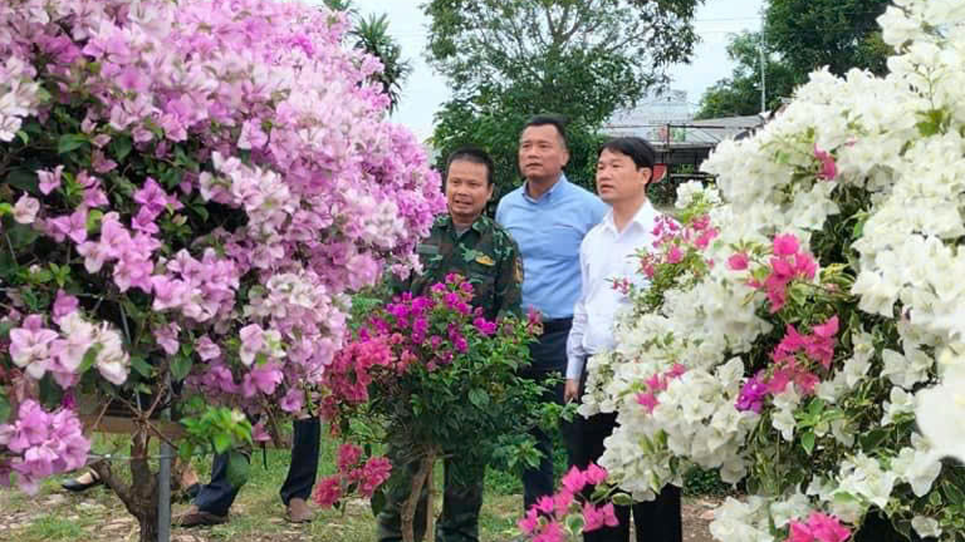 Lễ hội cây cảnh, hoa giấy xã Phù Đổng, huyện Gia Lâm: Để “Sắc hoa trên miền di sản” vươn xa