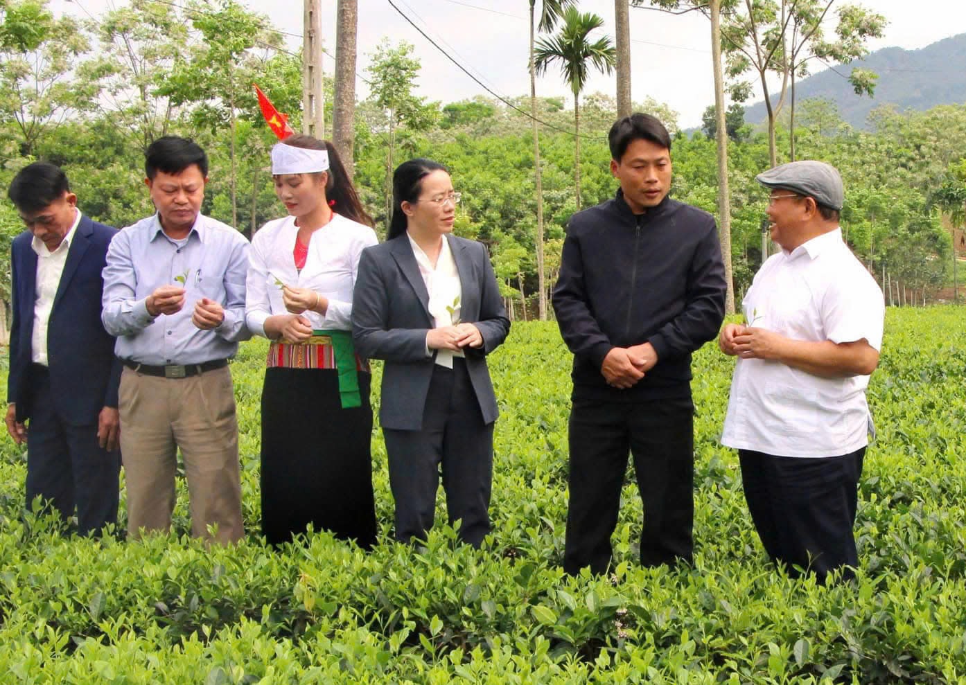 Hanoi Farmers Association drives change by innovation and collaboration