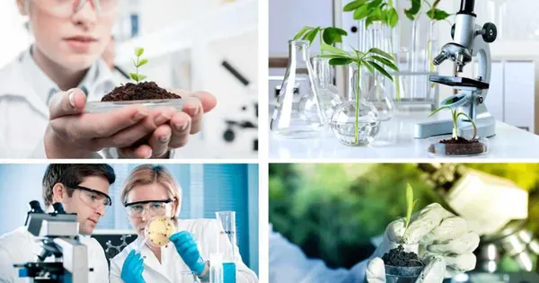 Phát triển công nghiệp sinh học trong lĩnh vực bảo vệ môi trường