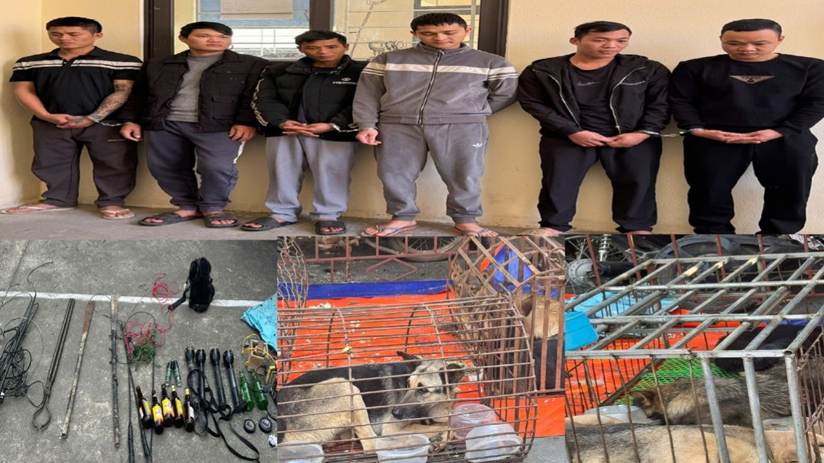 Bắt nhóm đối tượng chuyên mang vỏ chai bia, dao phóng lợn đi trộm chó