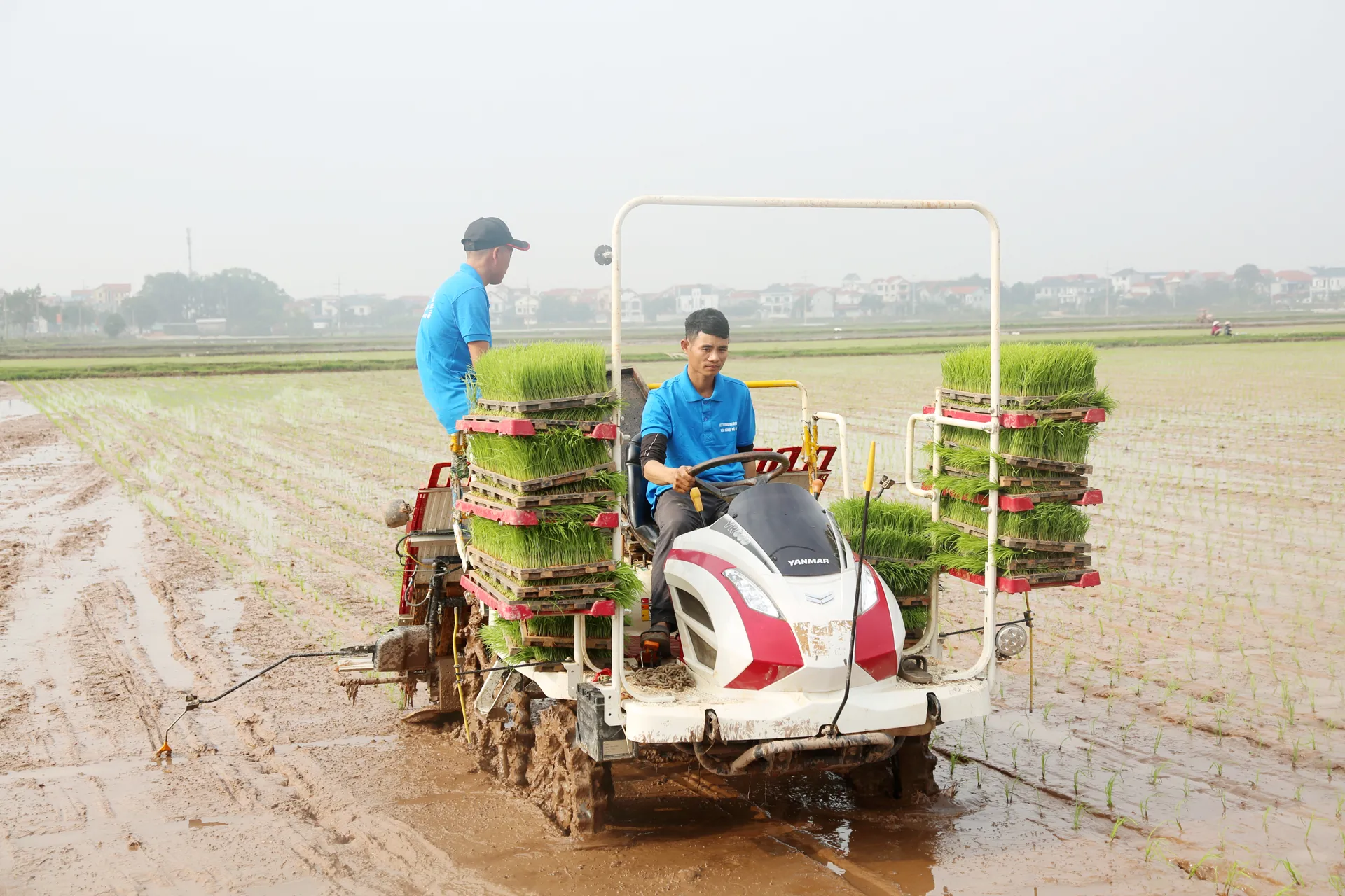 Thời vụ gieo cấy lúa Xuân hoàn thành trong tháng 2-2025 nên người dân chủ động lấy nước vào ruộng và cấy đúng thời vụ. Ảnh: Công Hùng