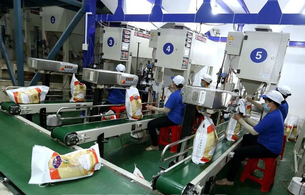 Đóng gói xuất khẩu gạo tại Công ty Cổ phần Nông nghiệp công nghệ cao Trung An (Cần Thơ). Ảnh: Vũ Sinh