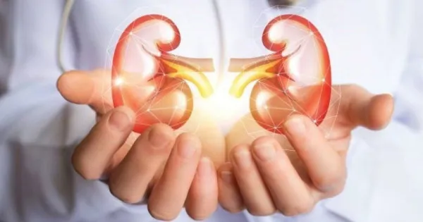 8 dấu hiệu cảnh báo thận không khỏe mà nhiều người chưa biết