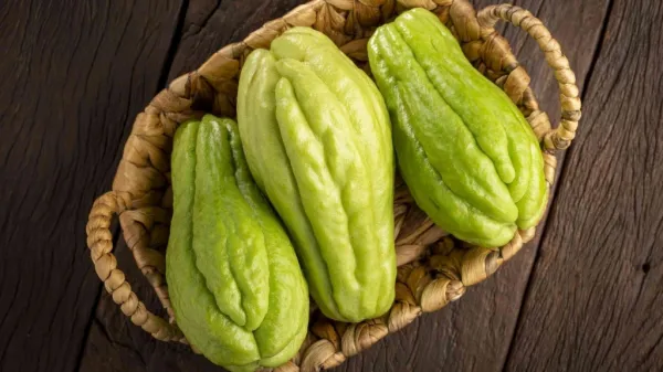Những nhóm người tuyệt đối kiêng ăn quả su su kẻo rước họa vào thân