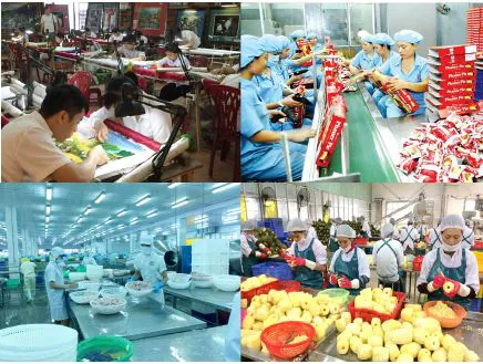 Thành lập Ban Chỉ đạo xây dựng Đề án Phát triển kinh tế tư nhân