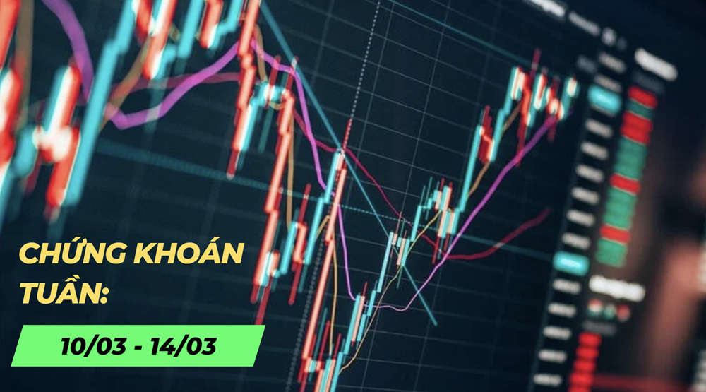 Chứng khoán tuần 10/3-14/3: Lực cầu chững lại, VN-Index liên tục giằng co và phân hóa