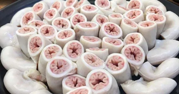 Cách phân biệt và lưu ý khi ăn lòng se điếu