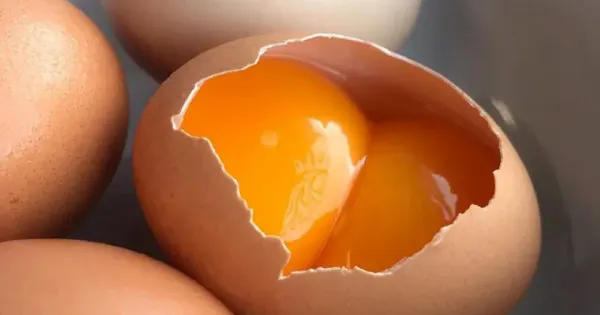 Bác bỏ thông tin ''trứng gà giả'' khiến người tiêu dùng hoang mang