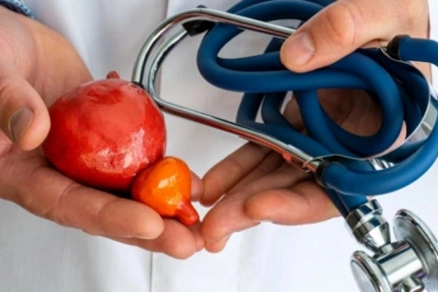 Những loại thực phẩm nam giới trên 50 tuổi nên tránh