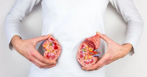 Người bị suy thận nên tránh ăn gì?