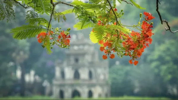 Nghề báo, Hà Nội và tôi