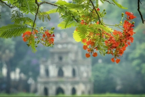 Nghề báo, Hà Nội và tôi
