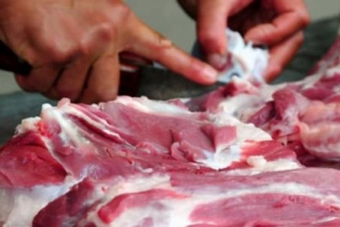 Những dấu hiệu nhận biết thịt nhiễm tả lợn châu Phi