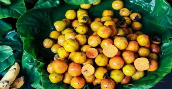 Thức quà đánh thức mùa Thu Hà Nội
