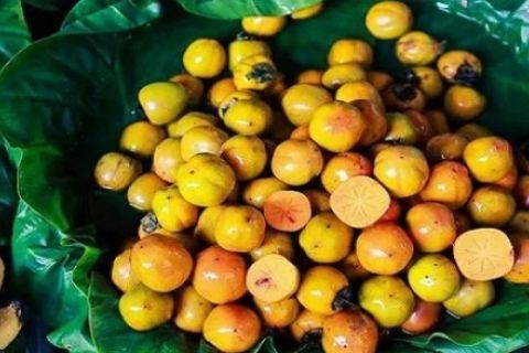 Thức quà đánh thức mùa Thu Hà Nội
