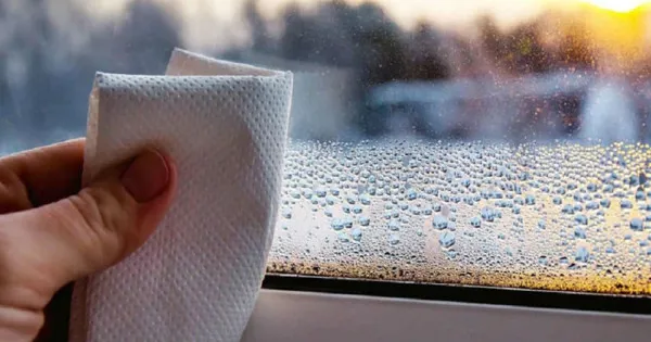 Bí quyết bảo vệ sức khỏe trong tiết trời lạnh và nồm ẩm