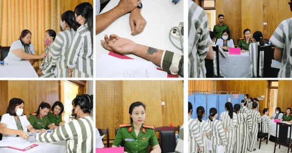 Những cuộc gặp gỡ xúc động...